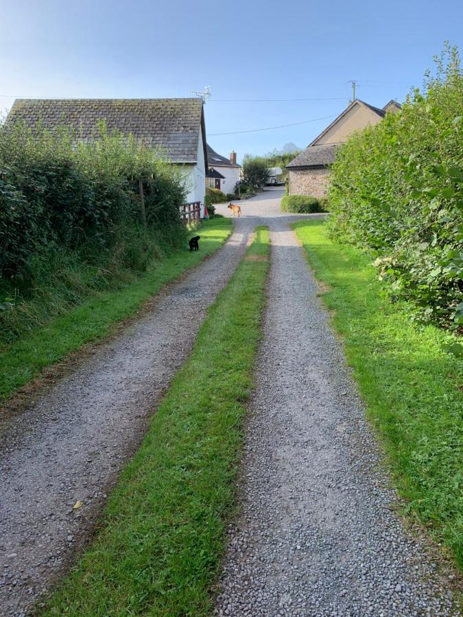 The Reindeer Retreat Buttercup Twin Kidwelly Exterior foto